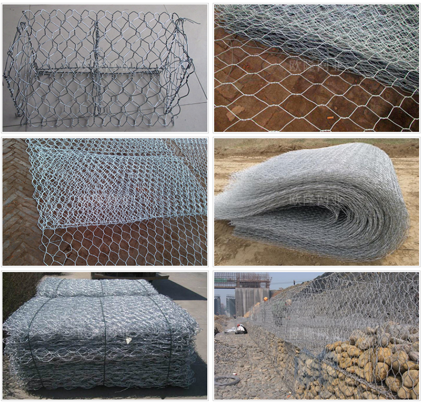 1741852088332145.png 5354e571f471bb42dd25a3c8f9f3e162_1724131735495726.png