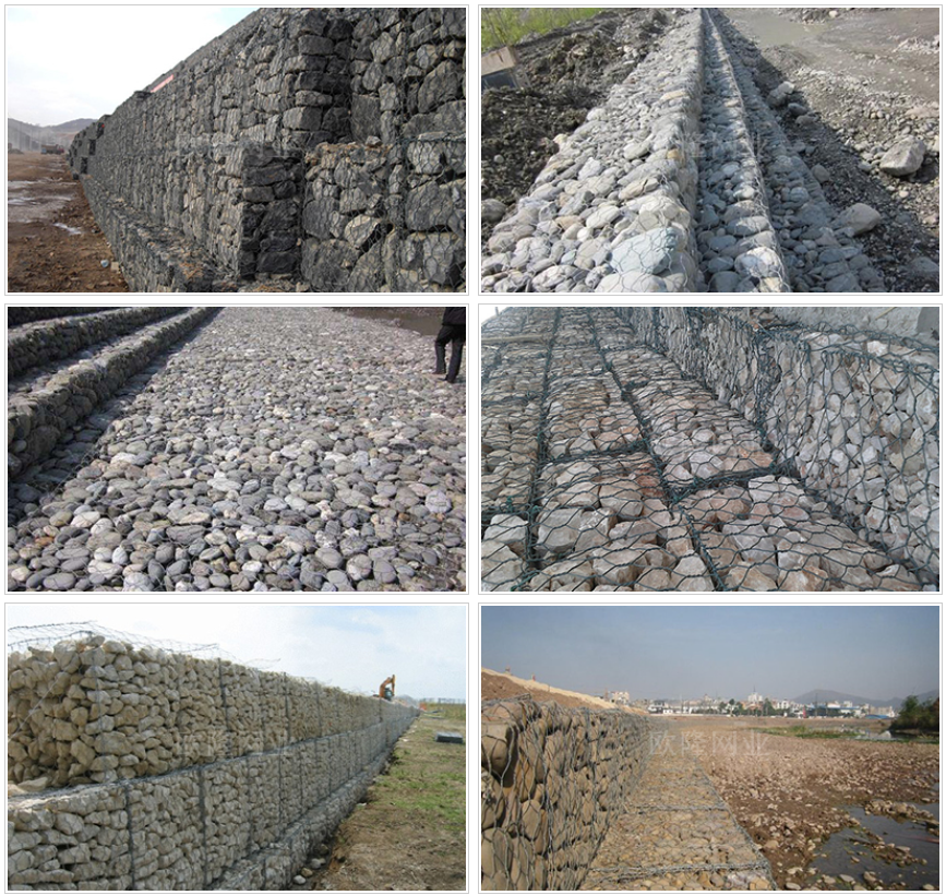 1741852843658891.png a96d2ffe87c1140959349dfd22ba20b9_1724132458504665.png