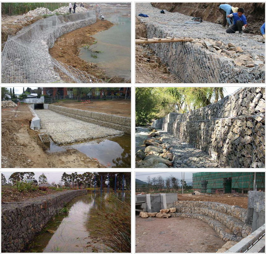 1741853460950212.png 78270fa6ef2834d507d9521e78339b21_1724132064852258.png