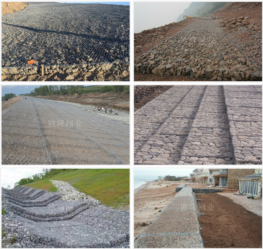 1741853652594872.png ede26d41cf56716296a230487417bd54_1724132753433871.png